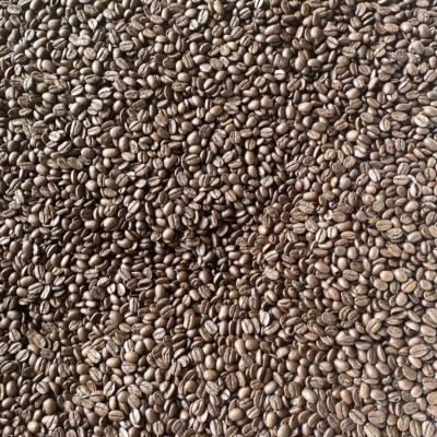 Arabica Chế Biến Ướt